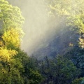 Chute d'eau en forêt