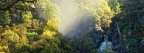 Chute d'eau en forêt