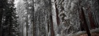 En hiver