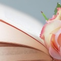 Rose sur des livres