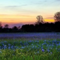 Coucher de soleil au printemps - 851x315
