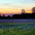 Coucher de soleil au printemps - 851x315