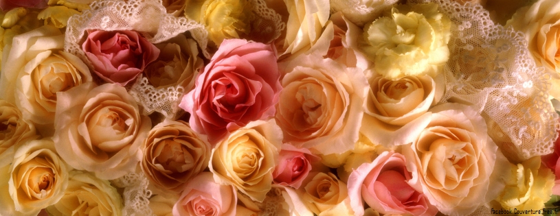 Roses - Facebook couverture  19 