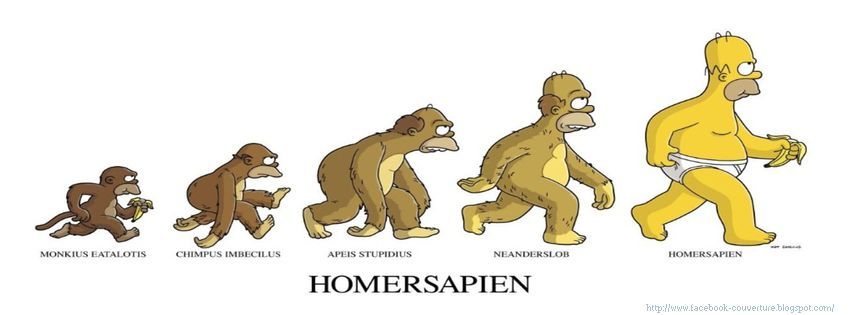 evolutuion-simpsons-couverture-facebook.jpg