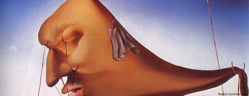 Salvador Dali Peinture - FB Couverture (2)