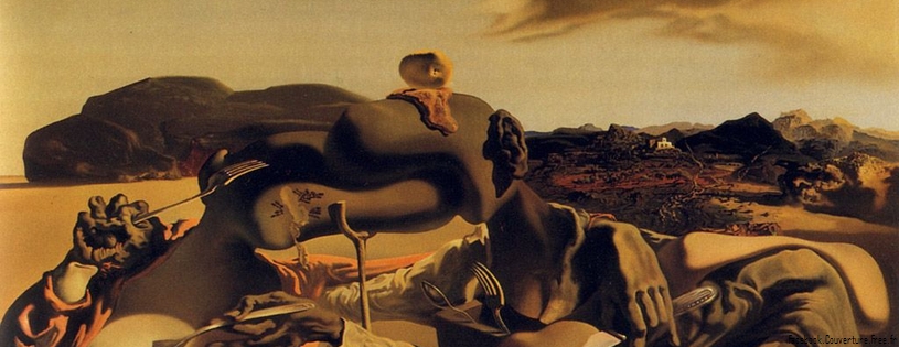 Salvador Dali Peinture - FB Couverture (7).jpg