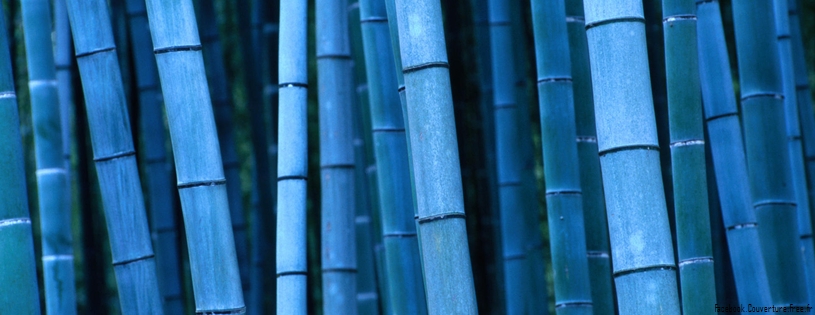 Timeline - Bamboo, Kyoto, Kinki, Japan.jpg