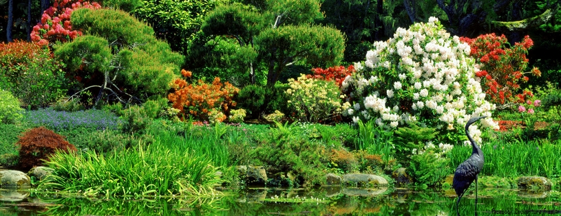 Timeline - Oriental Garden, Shore Acres State Park, Oregon