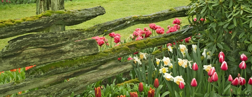 Timeline - Skagit Valley Garden, Washington.jpg