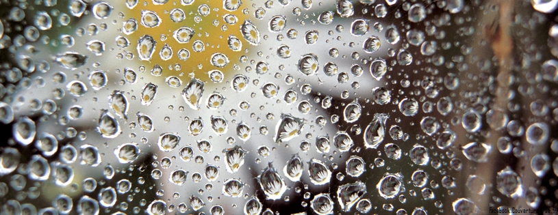 Dew Drops on a Spider Web.jpg