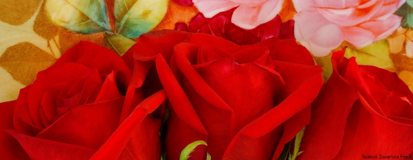 Red Roses on a Painted Plate