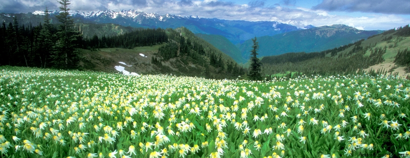 Timeline - A Peak Experience, Olympic National Park, Washington.jpg