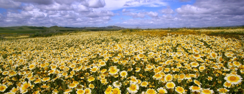 Timeline - Carrizo Plain National Monument, California.jpg