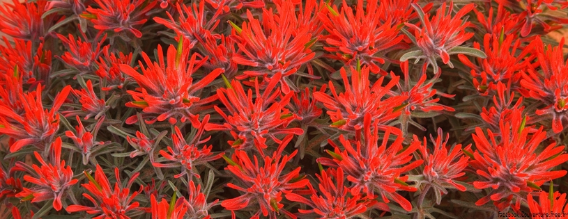 Timeline - Red Paintbrush, Utah.jpg