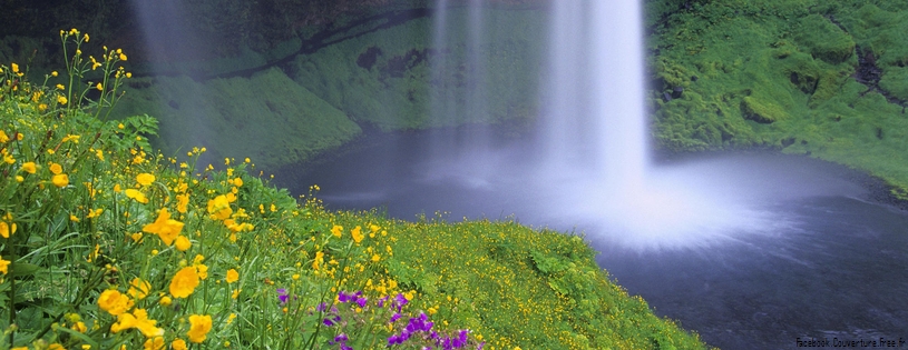 Timeline - Seljalandsfoss Falls and Wildflowers, Iceland.jpg