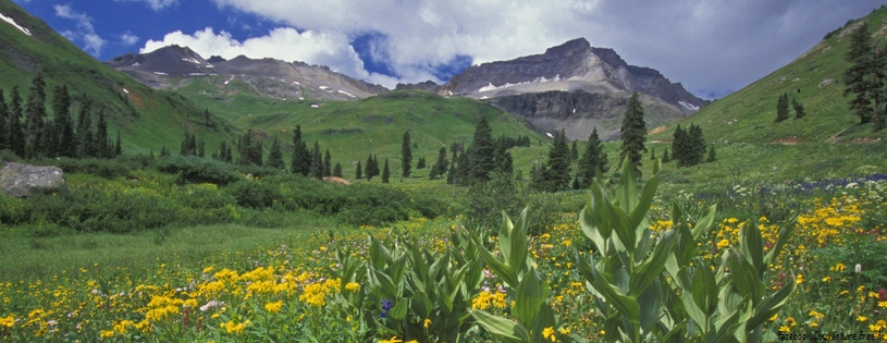 Timeline - Sneezeweeds and Hellebores, Sneffels Range, Colorado.jpg