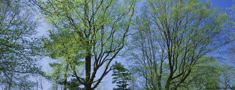 Timeline - Spring Meadow, Lexington, Kentucky.jpg