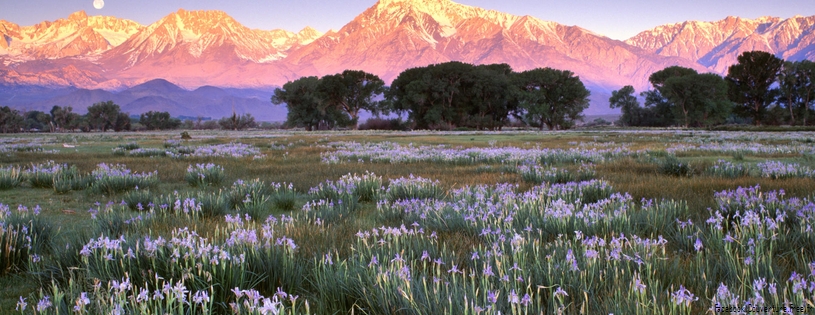 Timeline - Wild Mountain, Owens Valley, California