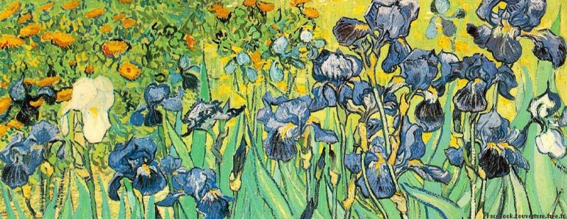 Van_Gogh_bleuet.jpg