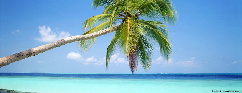 Cover_FB_ Ile_Tropicale_aux_Maldives.jpg