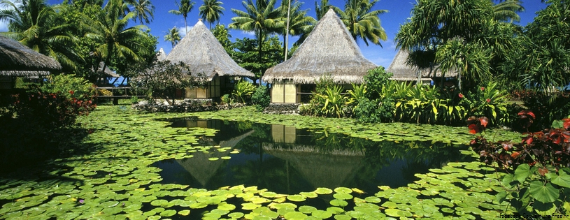 Cover FB  Lily Pads and Thatched Huts, Tahiti, French Polynesia