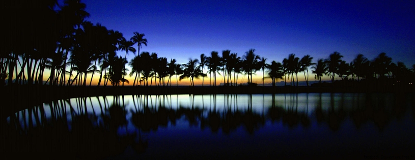 Cover_FB_ Palm_Silhouette,_Big_Island,_Hawaii.jpg