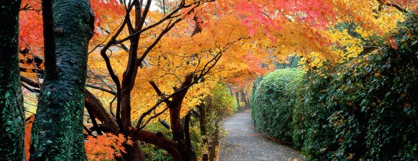 Cover_FB_ Autumn_Colors,_Kyoto,_Japan.jpg