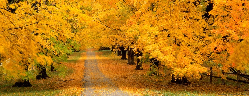 Cover_FB_ Autumn_Covered_Road.jpg