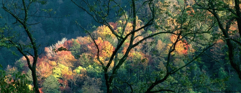 Cover_FB_ Autumn_Light,_Great_Smoky_Mountains,_Tennessee.jpg