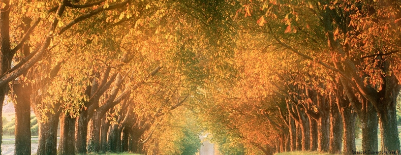 Cover_FB_ Autumn_Road,_Cognac_Region,_France.jpg