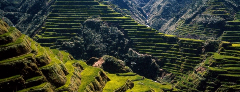 Cover_FB_ Ancient-Rice-Terraces-Philippines.jpg