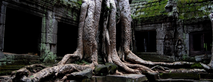 Arbre_Thai_Cover_FB.jpg