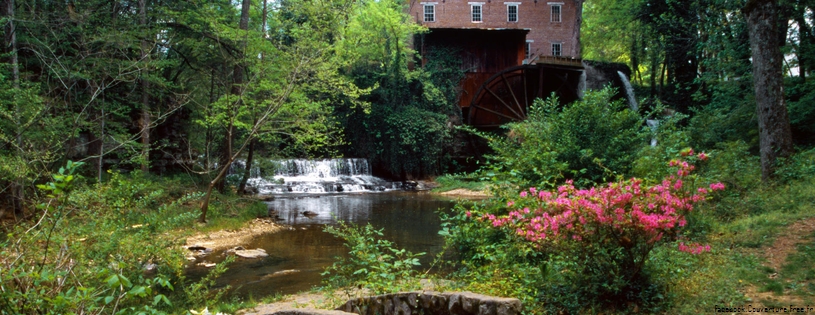 Cover_FB_ Falls_Mill,_Belvidere,_Tennessee.jpg