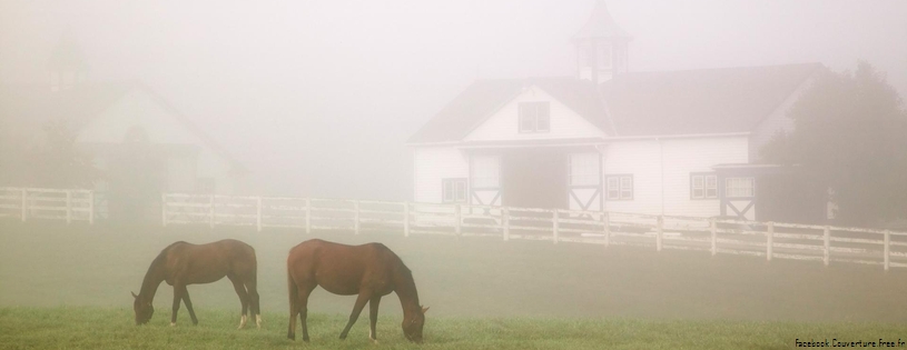 Cover_FB_ Manchester_Horse_Farm,_Lexington,_Kentucky.jpg