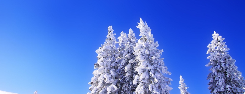 Cover_FB_ nature_neige_arbres.jpg