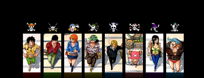 One Piece COVER Facebook 10