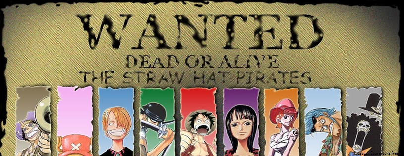 One Piece COVER Facebook 26