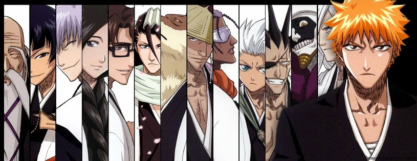 Bleach 851x315 (1).jpg