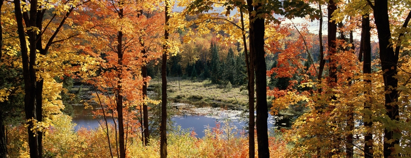 Cover_FB_ Lac_Fortune,_Gatineau_Park,_Quebec,_Canada.jpg