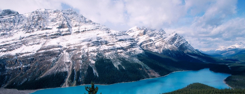 Cover FB  Peyto Lake, Banff National Park, Alberta, Canada