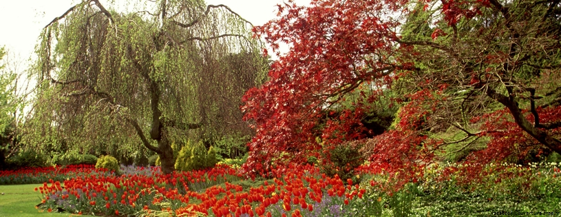 Cover_FB_ Queen_Elizabeth_Park,_Vancouver,_British_Columbia,_Canada.jpg