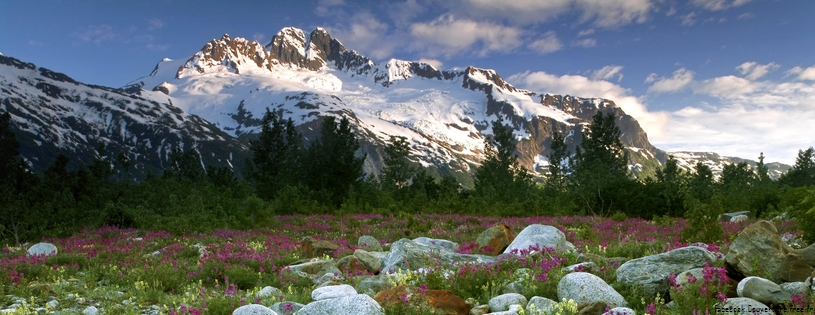 Cover FB  Rock Garden, Alsek River, British Columbia, Canada