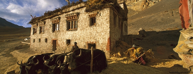 Threshing Barley, Photoskar Village, Ladakh, India