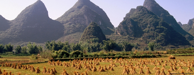 Harvested Rice Field, Li River Area, Yangshuo, Guangxi Province, China