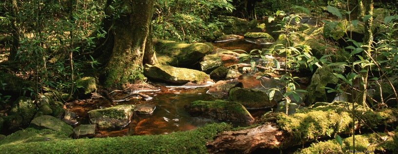 Phu Luang Wildlife Sanctuary, Thailand