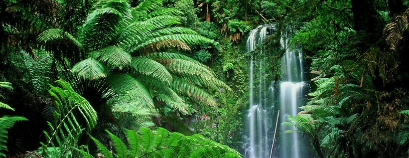 Cover FB  Beauchamp Falls, Victoria, Australia