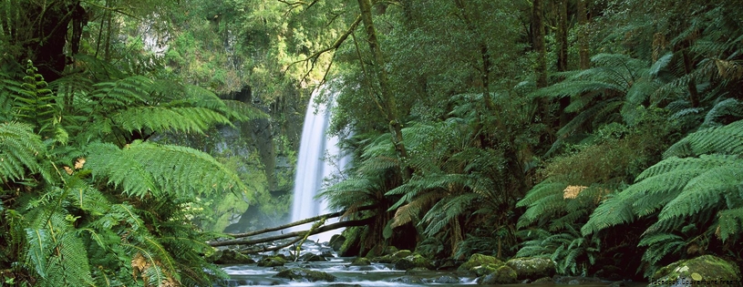 Cover_FB_ Hopetoun Falls, Aire River, Otway National Park, Victoria, Australia.jpg