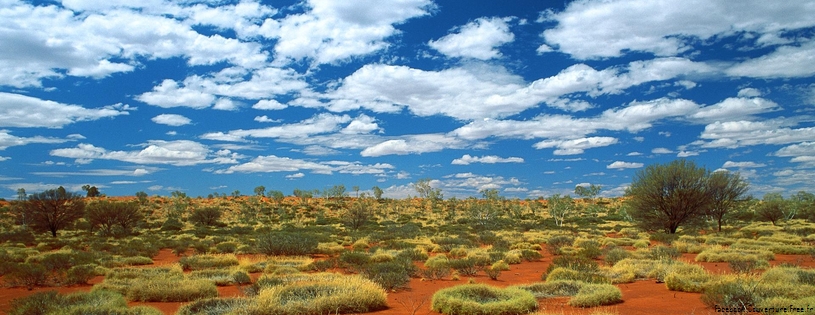 Cover FB  Old Spinifex Rings, Little Sandy Desert, Australia