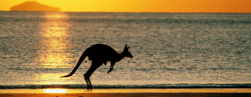 Cover FB  Taking Joey Home, Australia