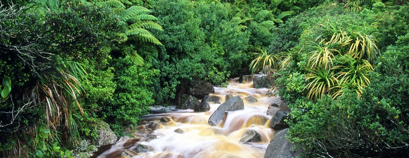 Cover_FB_ Karamea, South Island, New Zealand.jpg